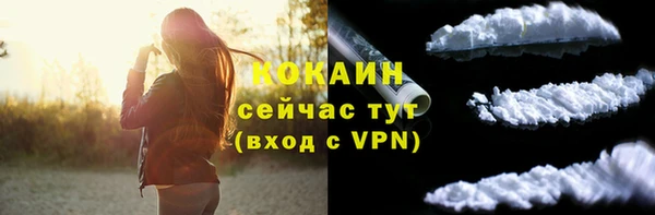 мдма Новодвинск