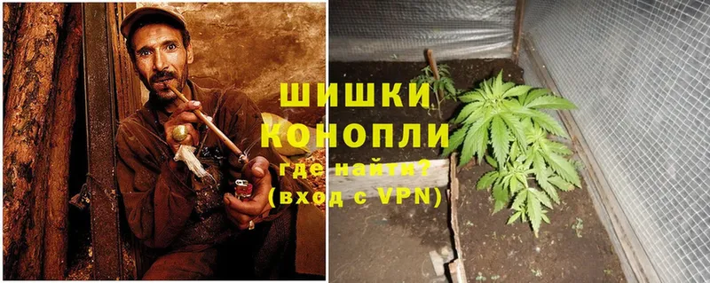 Бошки марихуана OG Kush  kraken ССЫЛКА  даркнет клад  Ивдель 